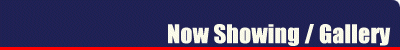Now Showing - Gallery